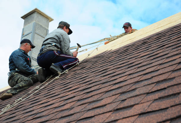 Best Roof Gutter Cleaning  in East Milton, FL